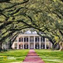 오크앨리 이미지