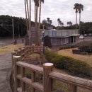 색달동-11 이미지