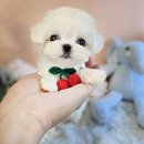 사평대로20길 17 이미지