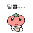 르솔레이 신세계 강남점