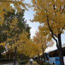 퍼스널컬러(L2) 심화과정 | 잠실 퍼스널컬러 진단 추천 컬러올마이티 퍼스널컬러