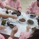 수목요양병원 이미지