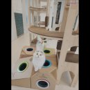 아이조아 캣파크 서울점 이미지