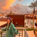 크리스탈장 이미지