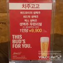 치주고고 | 대전 괴정동 술집, 다양한 치즈 안주가 가득한 '치주고고'