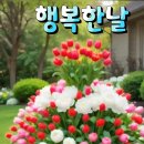 나눔과기쁨 이미지