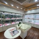 베리독 강아지고양이 평택본점 이미지