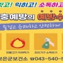 보은군보건소 이미지