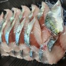 어로가 | [표선해수욕장맛집]표선 어로횟집 서귀포시본점 회 포장 후기