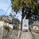 익산 &#39;흑백사진&#39; 찍으러 가본 &#39;추억담카페&amp;사진관&#39; 후기.