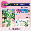 달콩마켓 이미지