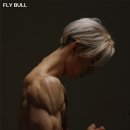 Fly Bull 이미지