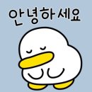 금천자동차정비센타 이미지