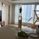 싸이코핏불스구서 | 늦었지만 새해 복 많이 받으세요 - 리뷰를 곁들인:)