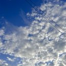 브랜든리심포니콘서트 | 브랜든 리 뮤지컬 심포니 콘서트