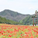 청송 이데일리