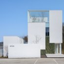 펫포레스트 이미지