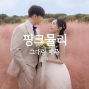 핑크뮬리 | 제주 웨딩스냅 그대랑제주 후기 2편｜질퍽이는 핑크뮬리 촬영 솔직 후기 (사진 대방출)