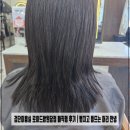 로이드밤원당점 | 검단미용실 로이드밤원당점 매직펌 후기 | 뻗치고 들뜨는 머리 안녕