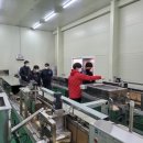 메가홀딩스 이미지