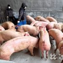 유재근농장 농민신문