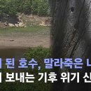 들판이 된 호수, 말라죽은 나무…자연이 보내는 기후 위기 신호들 / JTBC 뉴스룸 이미지