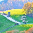 풍경목장 이미지