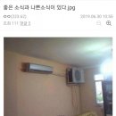 좋은소식