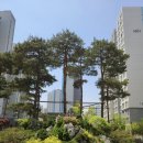 챔피언부동산공인중개사사무소 이미지