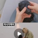 꼼꼼하개 - 양산시 버들길 12 | 꼼꼼하개