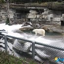 (주)우리얼음 이미지