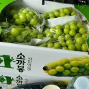 순례농장 이미지