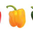 청파2농장 이미지