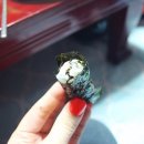 다향찰밥 이미지