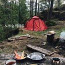 노루숲 Daum카페