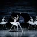 차이코프스키음악학원 이미지