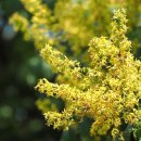 인화여자고등학교 이미지