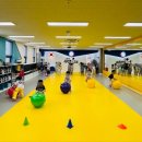 용인대최강태권도장 이미지