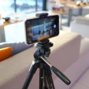 항해진미 이미지