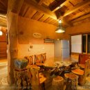 토루생태체험 이미지