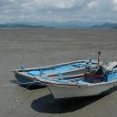 갯벌이야기 이미지