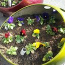 천천면사무소 이미지