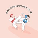 용인대백호태권도장 이미지