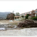 향동초등학교 이미지