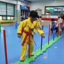 키즈한국태권도 이미지