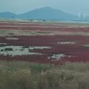 (박물관 출발) 고군산코스 이미지