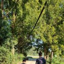 탑(TOP) 승마클럽 이미지