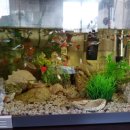 주막거리추어탕 이미지