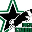 스타독스 이미지