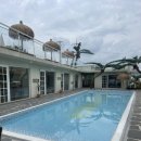 할로하우디(HALO HOWDY) 이미지